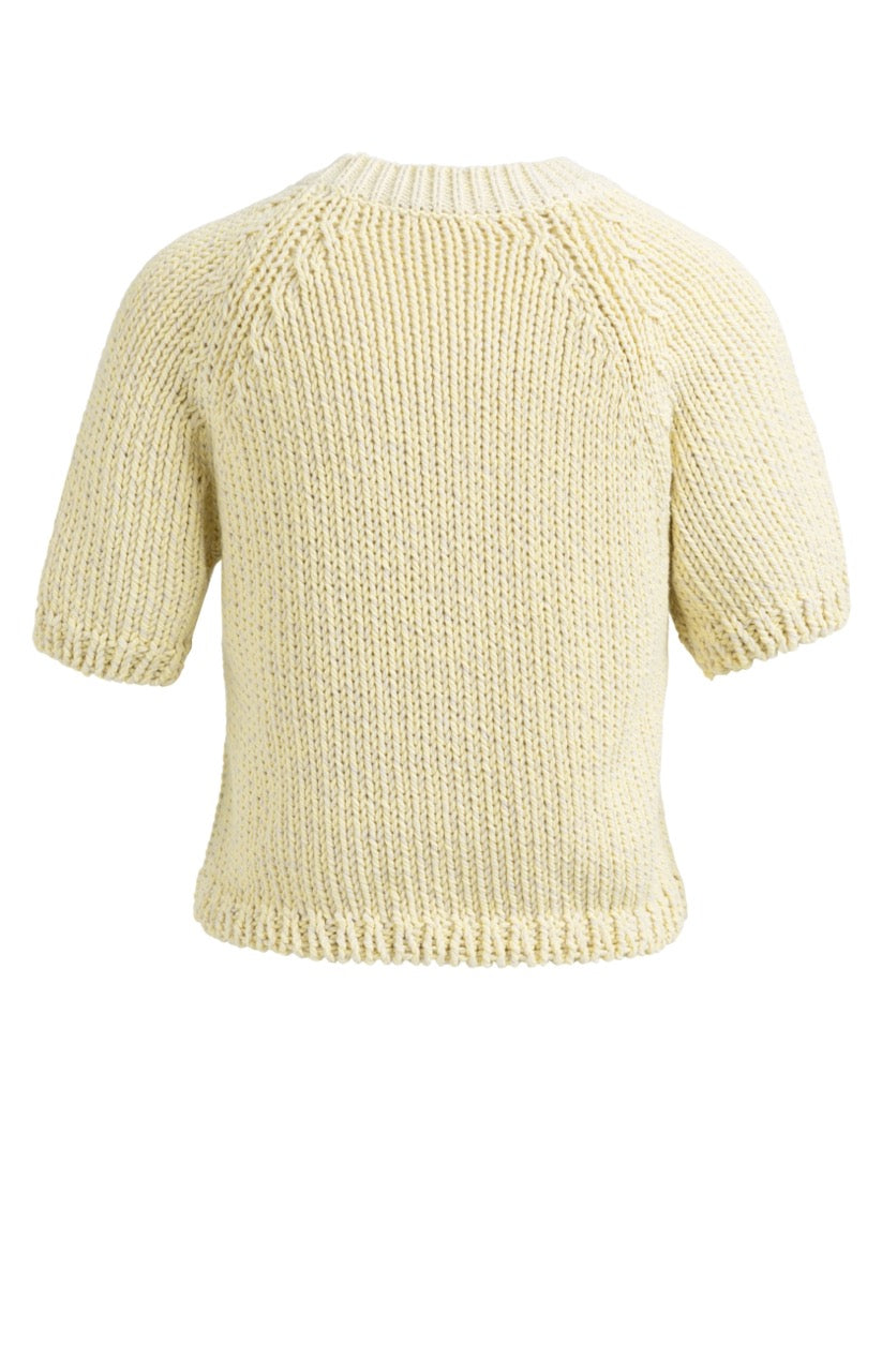 YY – Chunky Knit Sweater with Short Sleeves and Round Neck in Reed Yellow Dessin