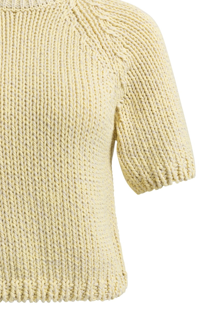 YY – Chunky Knit Sweater with Short Sleeves and Round Neck in Reed Yellow Dessin